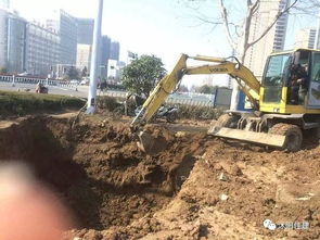 取消园林绿化施工资质后，如何加强园林企业资质管理