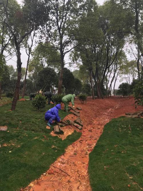 程家九龙公园绿化工程冒雨抢工 园林人坚守一线织就生态画卷