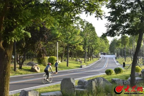 2024年潍坊 匠心铸就景观优美、生态良好的城市园林绿化新格局