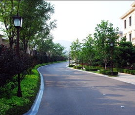 园林绿化工程 从规划设计到精细施工的全流程解析