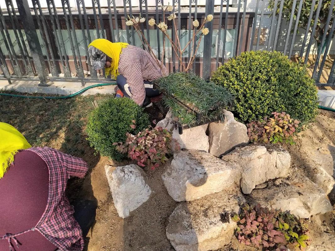 春风化绿，庭院新生——记一次园林绿化工程的匠心营造